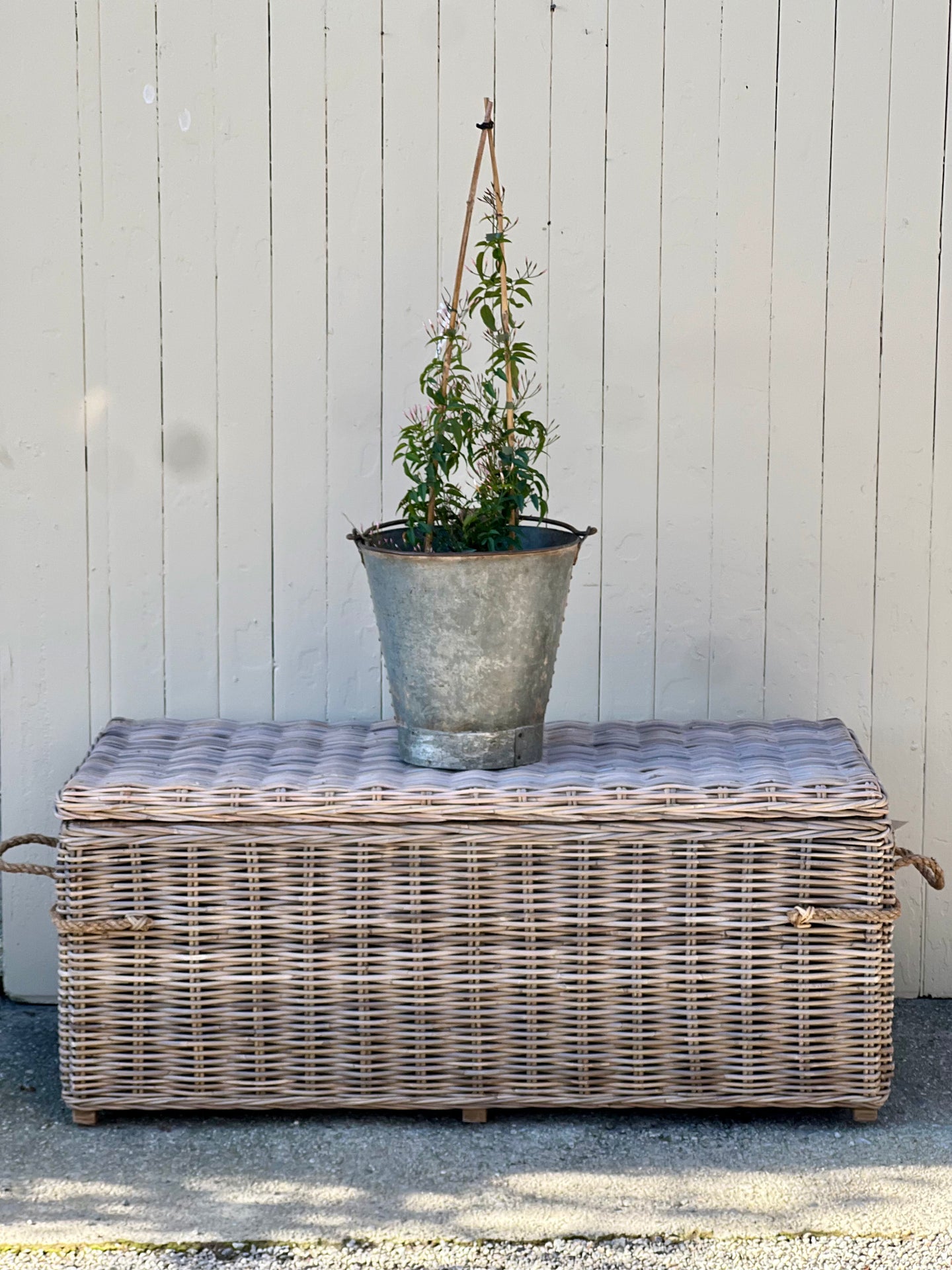 Medium Rope Handle Cane Trunk
