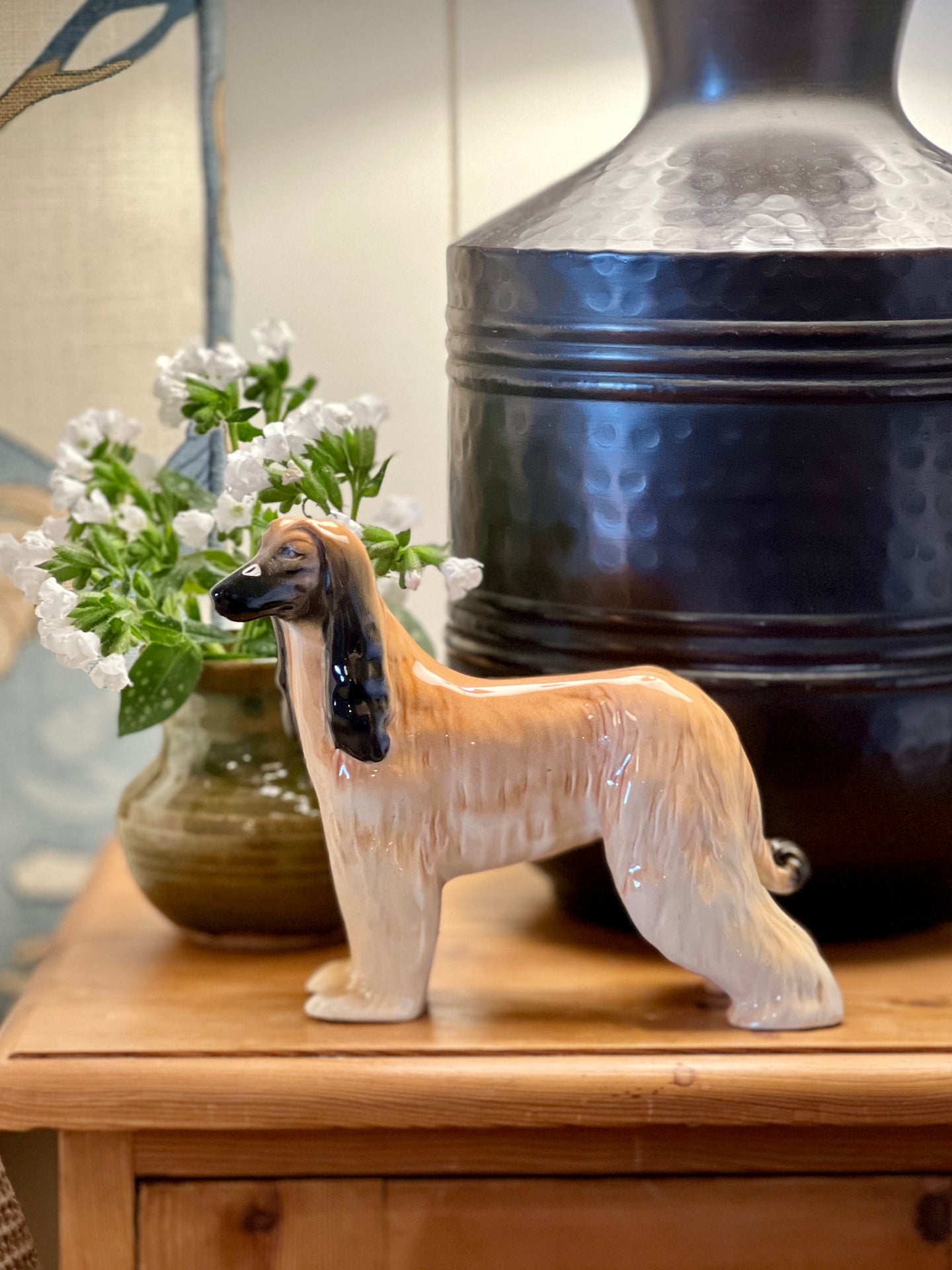 Beswick Hajubah of Davlen Afghan Hound
