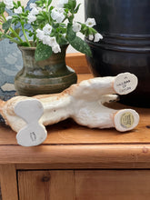 Load image into Gallery viewer, Beswick Hajubah of Davlen Afghan Hound
