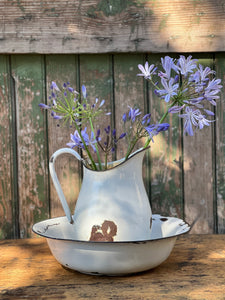 Vintage Enamel Jug & Bowl