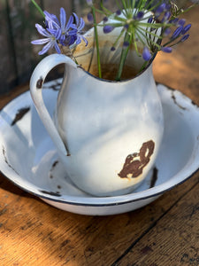 Vintage Enamel Jug & Bowl