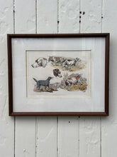 Load image into Gallery viewer, Antique 'Sporting Dogs' Framed Print by Henry Alken
