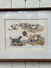 Load image into Gallery viewer, Antique 'Sporting Dogs' Framed Print by Henry Alken

