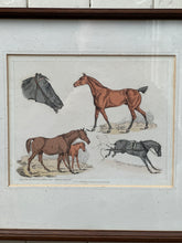 Load image into Gallery viewer, Antique 'Sporting Horses' Framed Print by Henry Alken
