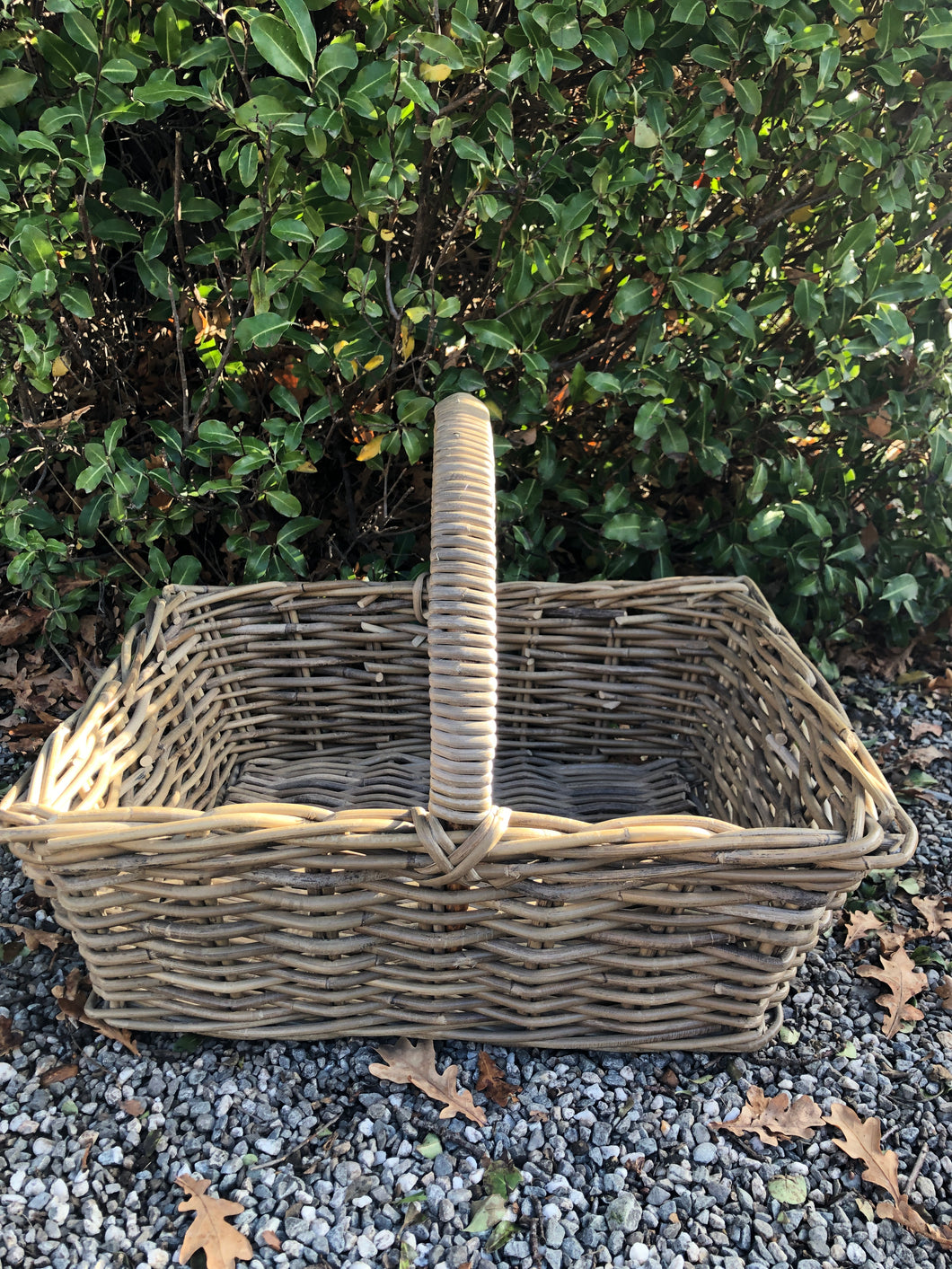 Small Rectangle Cane basket with Handle