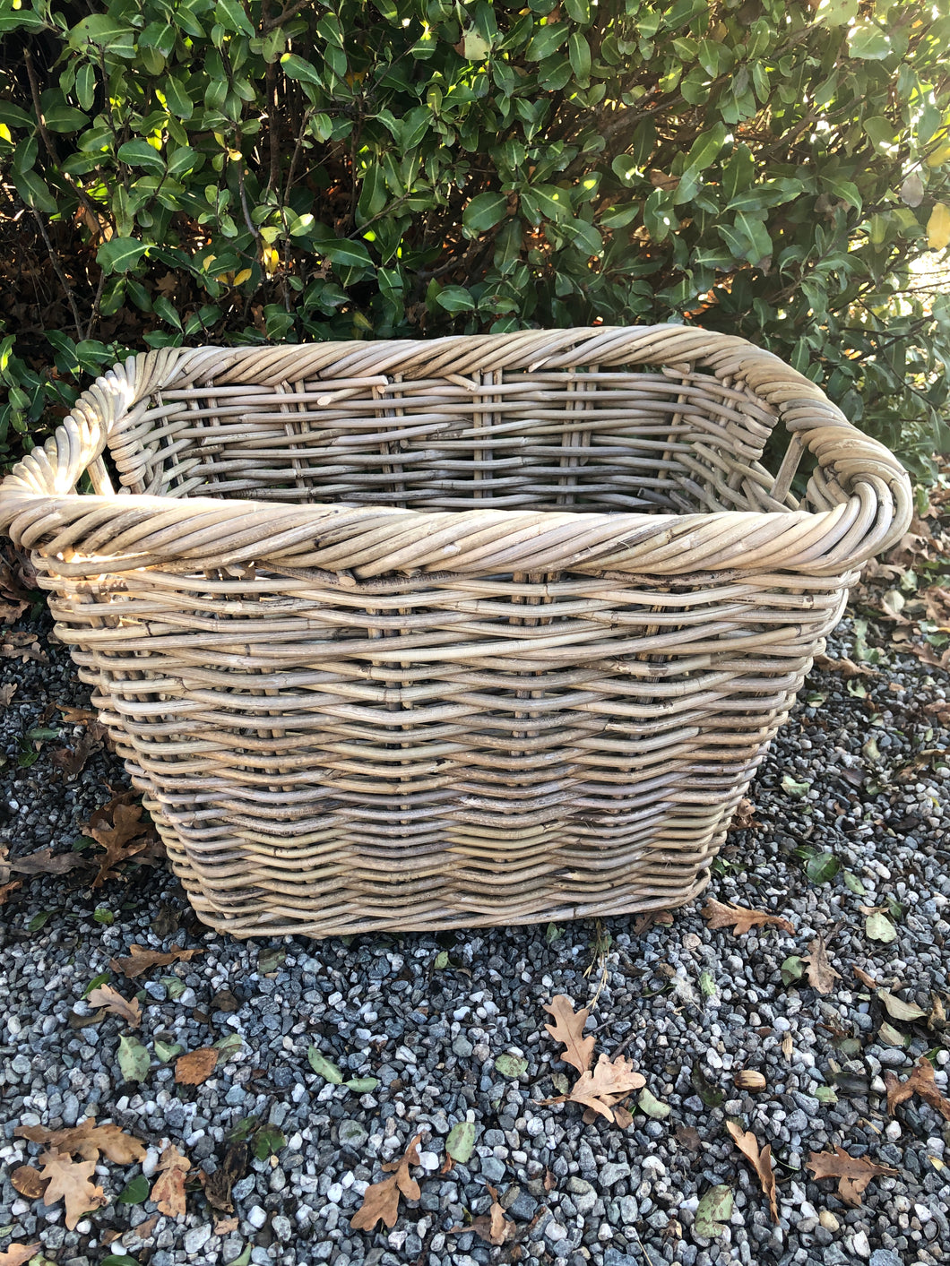Medium Rolled Top Cane Basket