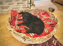 Load image into Gallery viewer, Pet Basket Size 4
